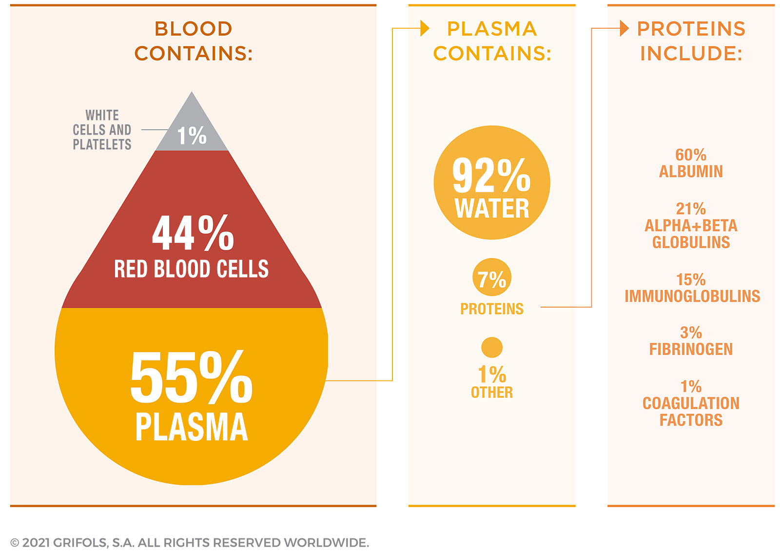 blood contains - plasma