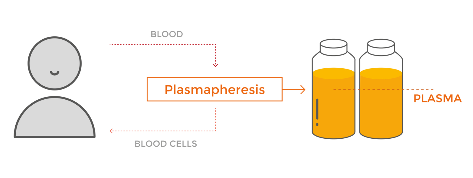 Plasmapheresis - Grifols Egypt For Plasma Derivatives