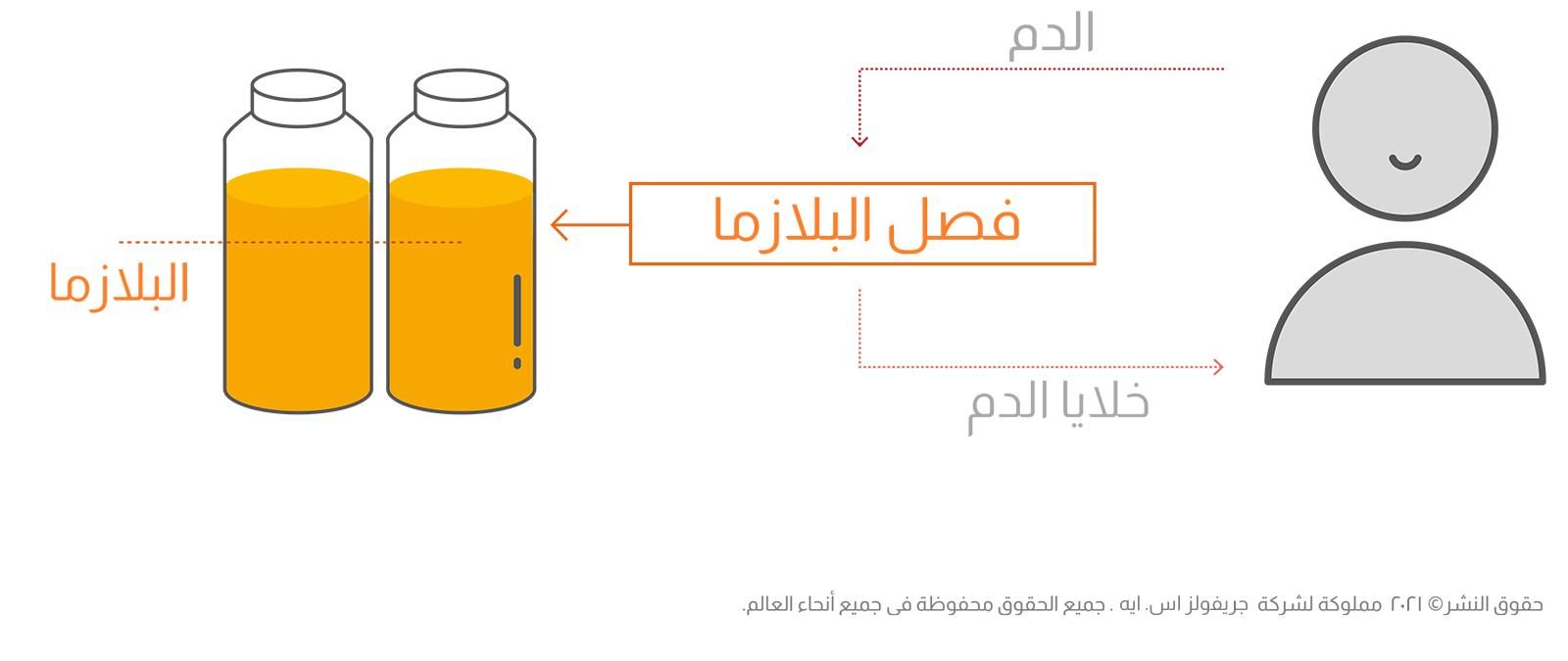 فصادة البلازما - جريفولز مصر لمشتقات البلازما